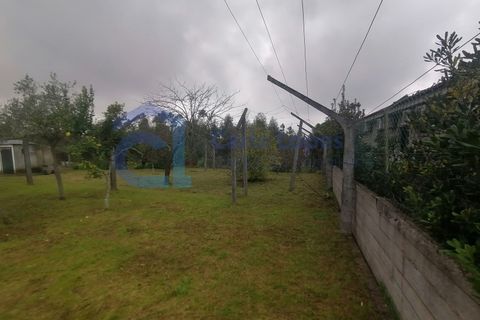 Villa a Arrifana, Aveiro, Arrifana - € 560.000 | Ref: HAB_18 - foto 34