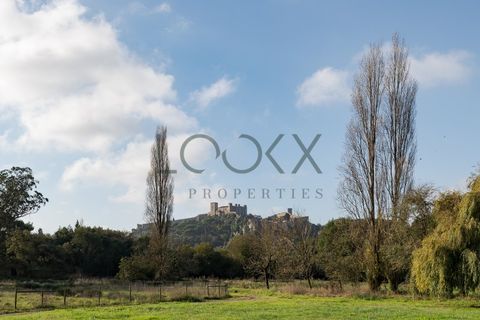 Farm i Obidos, Leiria, Obidos - € 4.950.000 | Ref: PT009-6 - foto 3