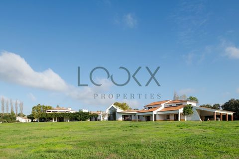 Farm i Obidos, Leiria, Obidos - € 4.950.000 | Ref: PT009-6 - foto 4