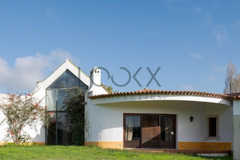 Farm i Obidos, Leiria, Obidos - € 4.950.000 | Ref: PT009-6 - foto 5
