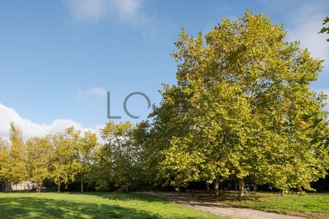 Farm i Obidos, Leiria, Obidos - € 4.950.000 | Ref: PT009-6 - foto 6