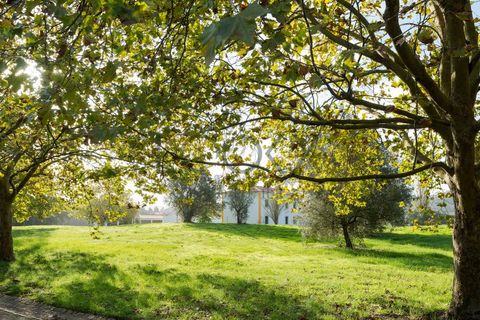 Farm i Obidos, Leiria, Obidos - € 4.950.000 | Ref: PT009-6 - foto 7