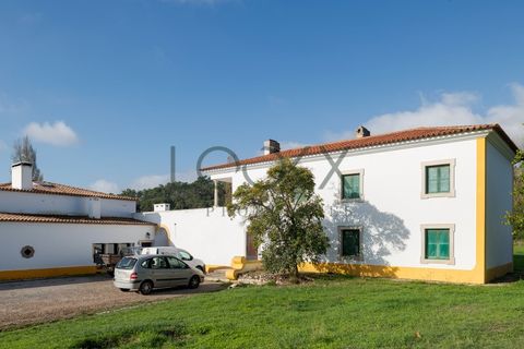 Farm i Obidos, Leiria, Obidos - € 4.950.000 | Ref: PT009-6 - foto 27