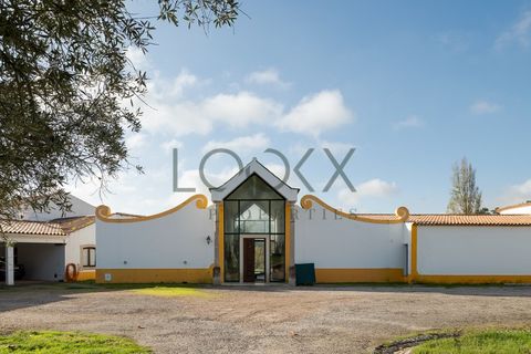 Farm i Obidos, Leiria, Obidos - € 4.950.000 | Ref: PT009-6 - foto 28