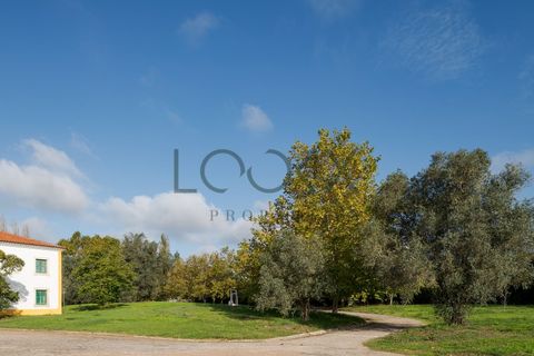 Farm i Obidos, Leiria, Obidos - € 4.950.000 | Ref: PT009-6 - foto 29