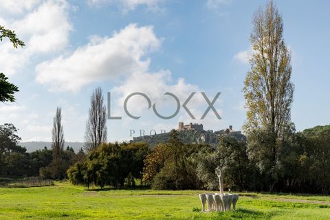 Farm i Obidos, Leiria, Obidos - € 4.950.000 | Ref: PT009-6 - foto 31