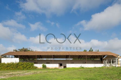 Farm i Obidos, Leiria, Obidos - € 4.950.000 | Ref: PT009-6 - foto 32