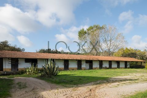 Farm i Obidos, Leiria, Obidos - € 4.950.000 | Ref: PT009-6 - foto 33