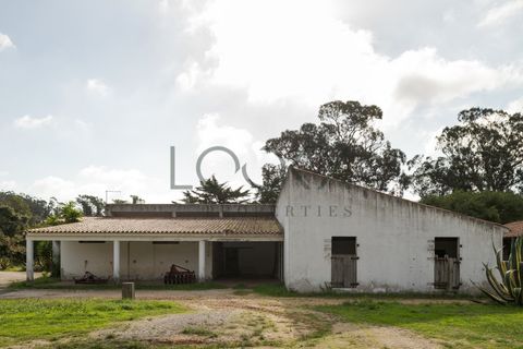 Farm i Obidos, Leiria, Obidos - € 4.950.000 | Ref: PT009-6 - foto 34