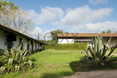 Farm i Obidos, Leiria, Obidos - € 4.950.000 | Ref: PT009-6 - foto 35