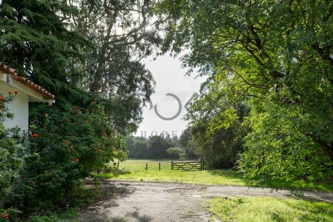 Farm i Obidos, Leiria, Obidos - € 4.950.000 | Ref: PT009-6 - foto 36