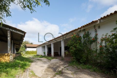 Farm i Obidos, Leiria, Obidos - € 4.950.000 | Ref: PT009-6 - foto 37