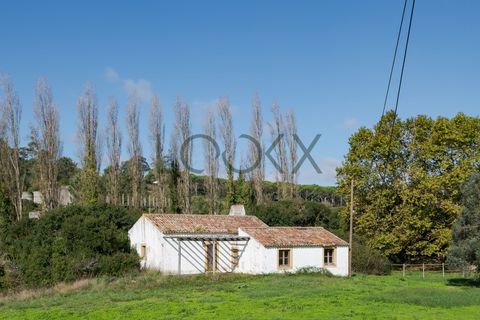 Farm i Obidos, Leiria, Obidos - € 4.950.000 | Ref: PT009-6 - foto 41