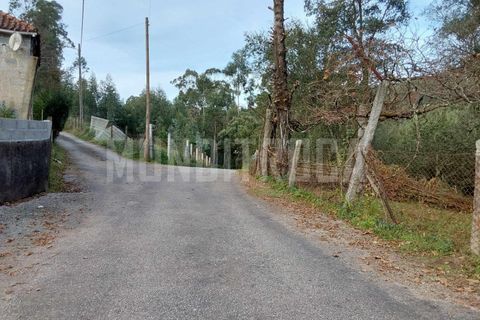 Helårsgrund i Vila Verde, Braga, Vila Verde - € 115.000 | Ref: TER_2296 - foto 2