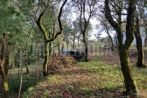 Helårsgrund i Vila Verde, Braga, Vila Verde - € 115.000 | Ref: TER_2296 - foto 3