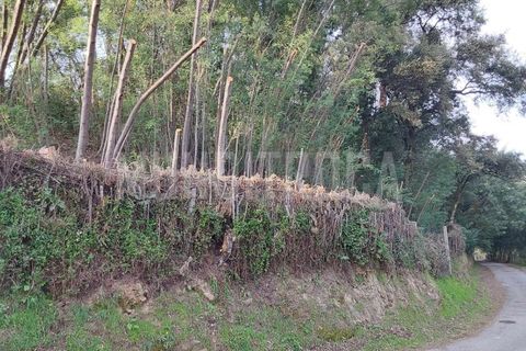 Helårsgrund i Vila Verde, Braga, Vila Verde - € 115.000 | Ref: TER_2296 - foto 4