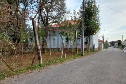 Helårsgrund i Vila Verde, Braga, Vila Verde - € 115.000 | Ref: TER_2296 - foto 5