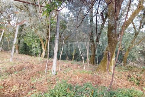 Helårsgrund i Vila Verde, Braga, Vila Verde - € 115.000 | Ref: TER_2296 - foto 6