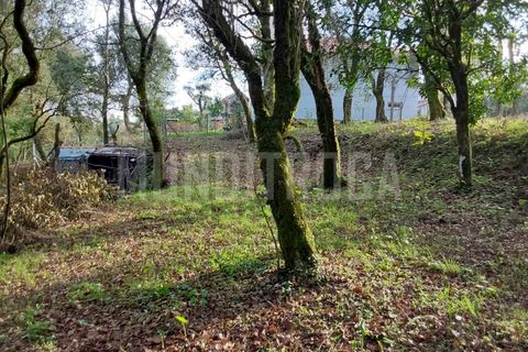 Helårsgrund i Vila Verde, Braga, Vila Verde - € 115.000 | Ref: TER_2296 - foto 7