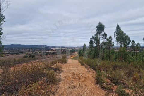 Tomt i Colos, Beja, Colos - € 230 000 | Ref: PT03T-0477 - foto 2