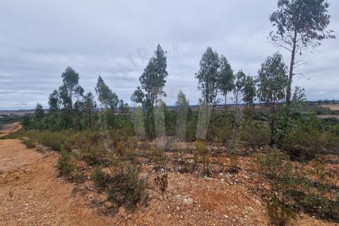 Tomt i Colos, Beja, Colos - € 230 000 | Ref: PT03T-0477 - foto 3
