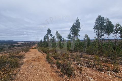 Tomt i Colos, Beja, Colos - € 230 000 | Ref: PT03T-0477 - foto 4