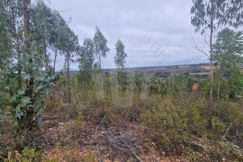 Tomt i Colos, Beja, Colos - € 230 000 | Ref: PT03T-0477 - foto 5