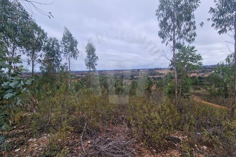 Tomt i Colos, Beja, Colos - € 230 000 | Ref: PT03T-0477 - foto 6