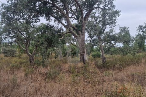 Tomt i Colos, Beja, Colos - € 230 000 | Ref: PT03T-0477 - foto 7