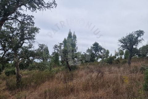 Tomt i Colos, Beja, Colos - € 230 000 | Ref: PT03T-0477 - foto 8