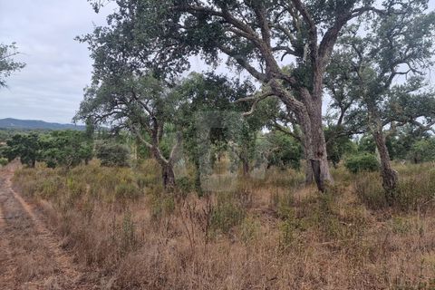 Tomt i Colos, Beja, Colos - € 230 000 | Ref: PT03T-0477 - foto 9