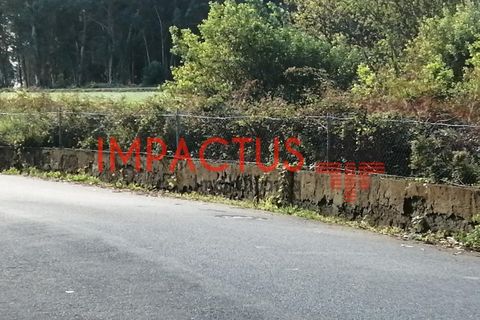 Helårsgrund i Lavra, Porto, Lavra - € 1.500.000 | Ref: DCRT1561 - foto 1