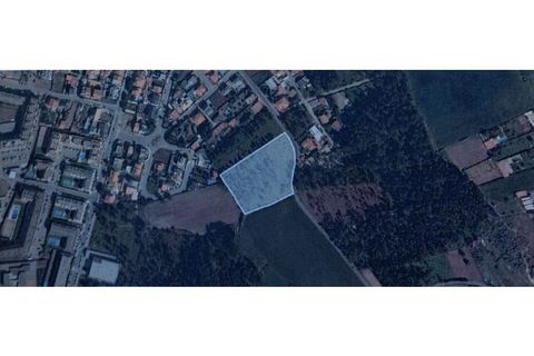 Helårsgrund i Lavra, Porto, Lavra - € 1.500.000 | Ref: DCRT1561 - foto 19