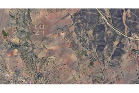 Helårsgrund i Sagres, Faro, Sagres - € 35.000 | Ref: DHTR006-B - foto 7