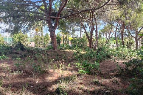 Helårsgrund i Cabo Roig, Alicante, Cabo Roig - € 1.100.000 | Ref: AG6137866 - foto 7