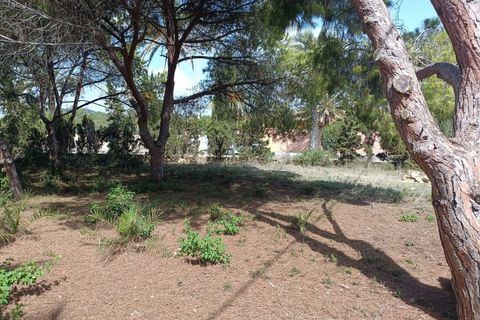 Helårsgrund i Cabo Roig, Alicante, Cabo Roig - € 1.100.000 | Ref: AG6137866 - foto 11
