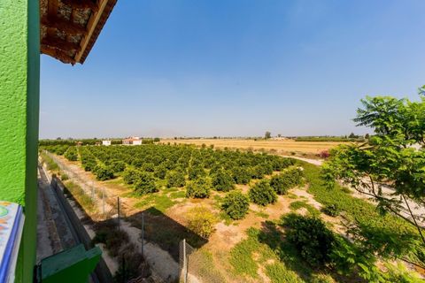 Finca i Almoradi, Alicante, Almoradi - € 1.300.000 | Ref: AG19151462 - foto 2