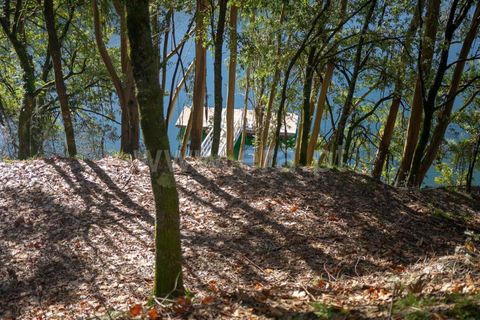 Villa i Vieira do Minho, Braga, Vieira do Minho - € 900.000 | Ref: 237190270 - foto 17