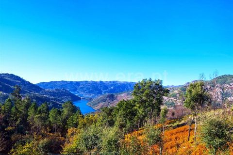 Villa i Vieira do Minho, Braga, Vieira do Minho - € 1.600.000 | Ref: 237200093 - foto 20
