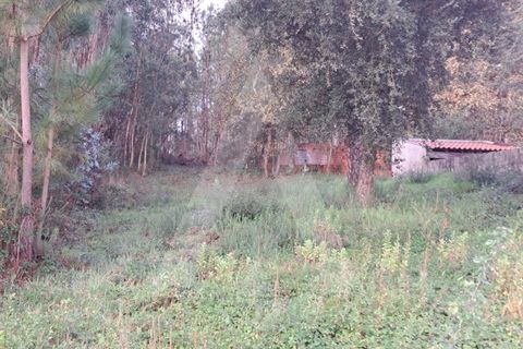 Terra a Fermentelos, Aveiro, Fermentelos - € 34.900 | Ref: 1012141/24 GL - foto 3