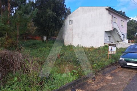 Terra a Fermentelos, Aveiro, Fermentelos - € 34.900 | Ref: 1012141/24 GL - foto 6