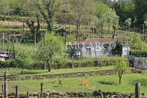 Villa i Cabeceiras de Basto, Braga, Cabeceiras de Basto - € 75.000 | Ref: ARCO(210) - foto 11