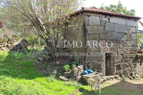 Farm i Cavez, Braga, Cavez - € 420.000 | Ref: ARCO(142) - foto 10