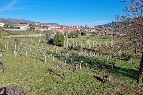 Farm i Cavez, Braga, Cavez - € 420.000 | Ref: ARCO(142) - foto 25