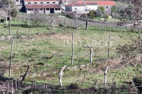 Farm i Cavez, Braga, Cavez - € 420.000 | Ref: ARCO(142) - foto 26