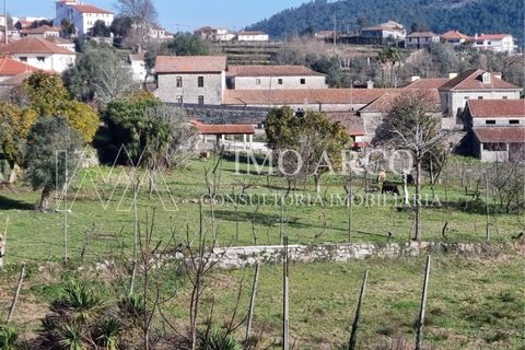 Farm i Cavez, Braga, Cavez - € 420.000 | Ref: ARCO(142) - foto 27