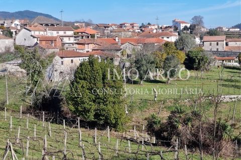 Farm i Cavez, Braga, Cavez - € 420.000 | Ref: ARCO(142) - foto 28