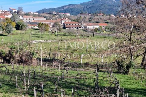 Farm i Cavez, Braga, Cavez - € 420.000 | Ref: ARCO(142) - foto 29