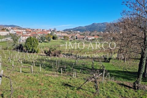 Farm i Cavez, Braga, Cavez - € 420.000 | Ref: ARCO(142) - foto 30