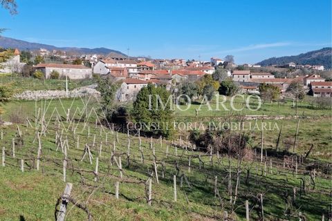 Farm i Cavez, Braga, Cavez - € 420.000 | Ref: ARCO(142) - foto 31
